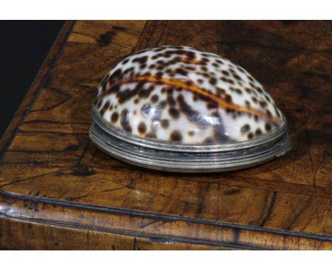 A George III silver mounted cowrie shell snuff box, hinged cover to base, gilt interior, maker's mark EC only, c.1800 