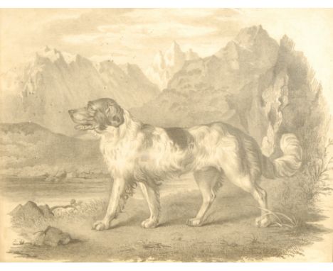 Continental School, 19th century, Mountain dog, possibly a Leonberger Stood in Snow Topped Mountain View, unsigned, Graphite 