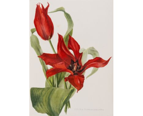 Botany.- Robinson (William, editor) Flora and Sylva: A Monthly Review for Lovers of Garden, Woodland, Tree or Flower, 3 vol. 