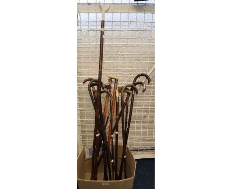 Collection of assorted walking sticks, walking canes, Welsh regiment swagger stick etc. Some silver mounted. (15)(B.P. 24% in