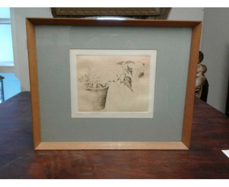 Begonias, etching on paper, limited edition numbered 72/75, signed and dated 1974, framed