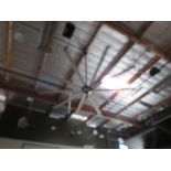 10 Blade 16ft Ceiling Fan