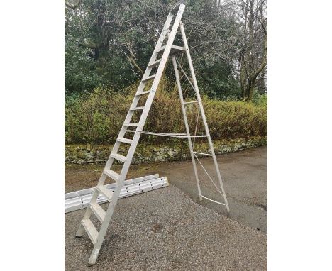 LARGE STEP LADDER   2.54 M STEP** We would please ask that all payments are made by 12pm on Thursday 14th April at the latest