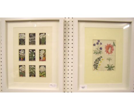 A pair of framed pictures of cigarette cards and a flower print