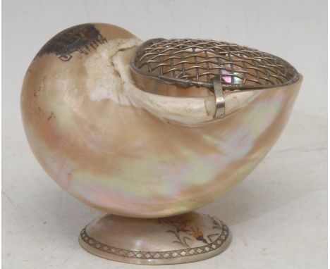 The Cabinet of Curiosities - an Indian pearl shell pearl posy vase, engraved with a titled architectural view, South India Te