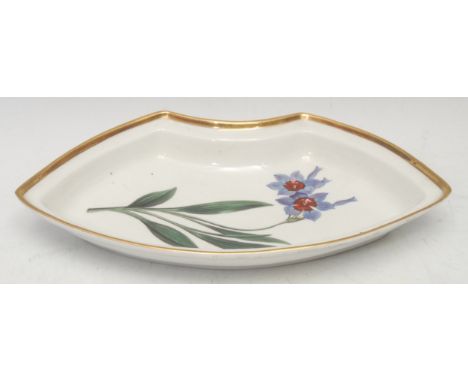 A Chamberlains Worcester curved serving dish, boldly painted with botanical study, Red Blue Ixia, gilt rim, 30.5cm wide, pain