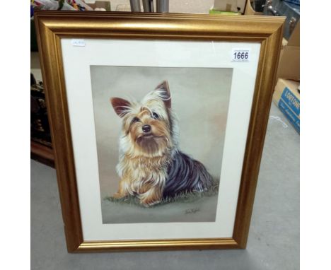 A large gilt framed print of a Yorkshire Terrier COLLECT ONLY