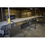 Alliance Motorized Belt Conveyor, SS Frame, SS Leg Base, Includes SS Cover, Approx. 75 ft. Length