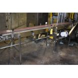 Motorized Belt Conveyor, SS Frame, 10 ft. Length x 10 in. Wide Belt, 230/460 Volt Motor, K-50284