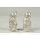 A good pair of mice salt and peppers, 5cm.