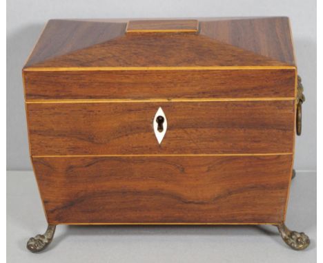 Regency rosewood caddy of sarcophagus form, boxwood strung, twin lidded interior with ivory knobs, lion ring handles & claw f
