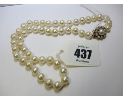 PEARL NECKLACE, cultured pearl necklace, 15" with circular gold pearl encrusted clasp