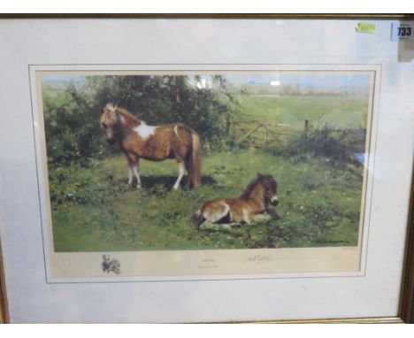 DAVID SHEPHERD, signed limited edition colour print "Shelties", 9" x 16"