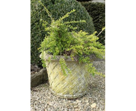 A Haddonstone lattice work tapering planter 
