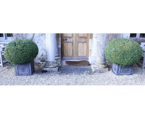 A pair of lead planters of cube form with topiary box bushes CONDITION REPORTS These planters are definitely lead.  Both plan
