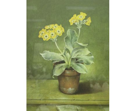 AFTER JOSE ÉSCOFET "The Auricula", a collection of twelve framed and glazed, coloured prints, ltd ed 50/500, each signed in p