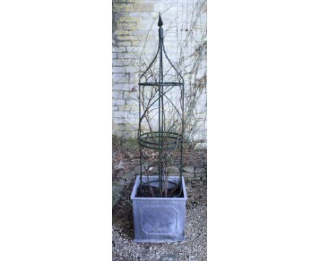 A lead effect planter and contents of climbing rose with trainer