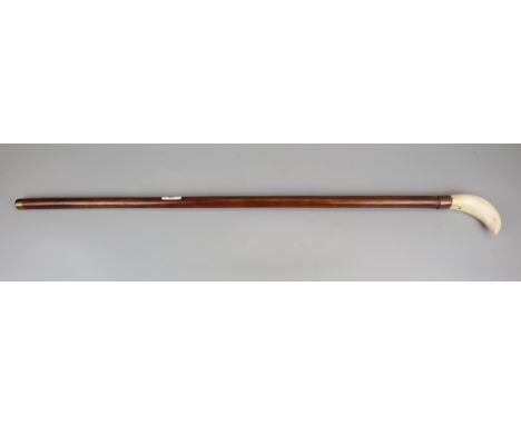Whale tooth handled walking stick 