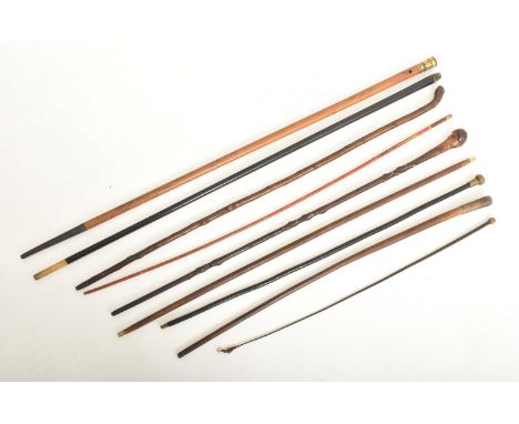 A collection of 19th &amp; 20th century walking sticks. The lot to include a knobstick handle stick with relief mother of pea