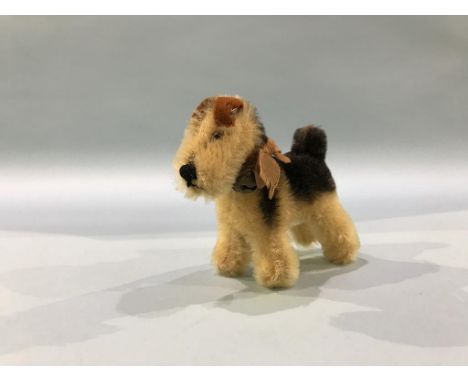 A Steiff 1950s Terry Airedale Terrier dog, with button, golden mohair with black patches, glass eyes, (press squeaker not wor