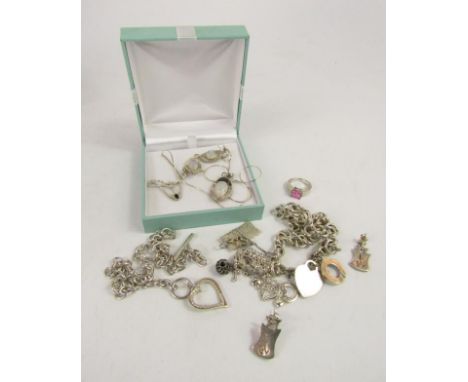 Silver jewellery, including a cable link bracelet marked Tiffany & Co, Albert chain with heart shaped pendant, ring, pendants