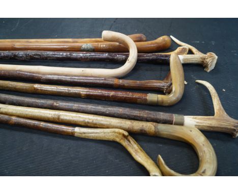 Ten walking sticks, comprising seven with horn or antler handles, two hardwood sticks and a pale wood stick.