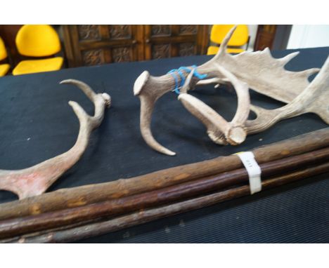 Five walking sticks shafts, antler walking stick handles, together with Edward Hart's book on Walking Sticks.