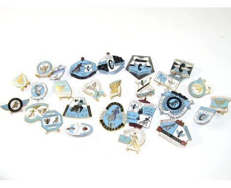 Vintage Speedway enamel badges Reading Racers, mainly 1980's, (26).