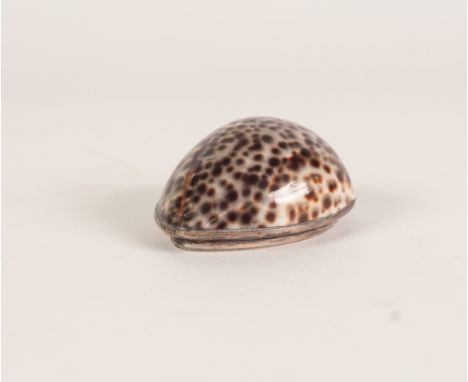 AN EARLY NINETEENTH CENTURY WHITE METAL MOUNTED COWRIE SHELL SNUFF BOX, the hinged covered engraved with cursive initials 'AG