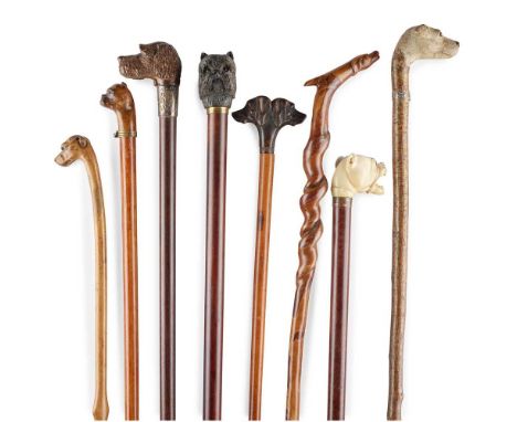 Y GROUP OF EIGHT DOG HEAD WALKING STICKS 19TH CENTURY to include an ivory Staffordshire bull terrier with glass eyes, on a ma