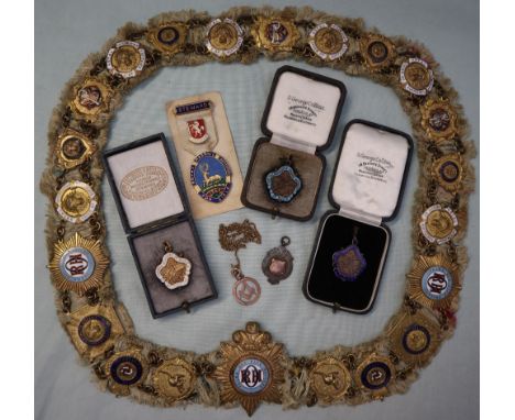 Royal Order of Antediluvian buffaloes, ceremonial sash mounted with medallions, together with a 9ct gold masonic pendant, and