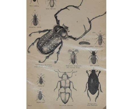 An assorted collection of prints after engravings, and other artwork, to include illustrations of the Bayeaux Tapestry and pr