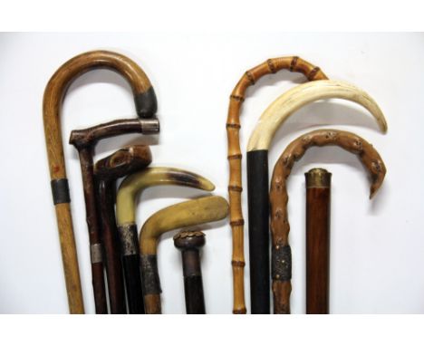 A group of mixed walking sticks including silver mounted and a horn stick in the shape of a golf club with two military walki