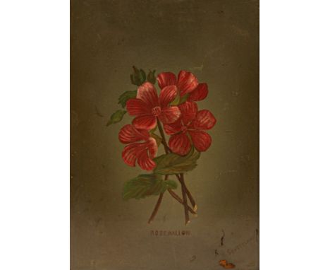 K Sunderland/Rose Mallow/watercolour, 45cm x 31cm/and other watercolours and pictures CONDITION REPORT: Condition information