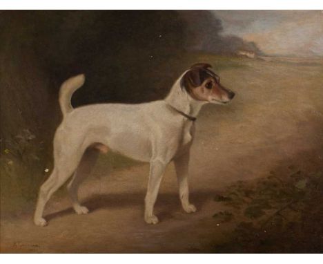 Arthur Louis Townsend (act. c.1900)Portrait of a Jack Russell, signed and dated 1903, oil on canvas, 30 x 41cm