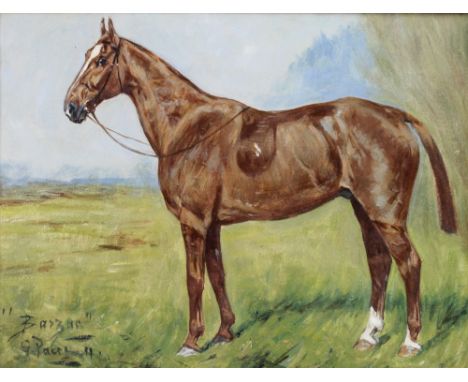 G. Paul (early 20th century): 'Barzac', a full equine portrait of a chestnut horse with reins facing sinister, oil on board, 
