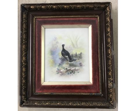 A framed and glazed hand painted ceramic tile of a Capercaillie. Signed bottom left J. Braugh. Tile size approx. 23 x 18 cm.