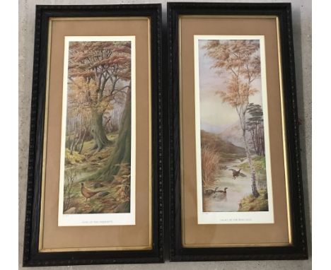 A pair of framed and glazed vintage prints J.C. # 2934 Home Of The Pheasants and # 2935 Haunt Of The Wild Duck. Picture size 