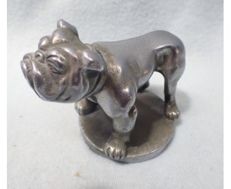 A VINTAGE CHROME PLATED CAR MASCOT in the form of a British Bulldog