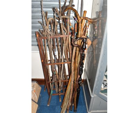 A LARGE COLLECTION OF WALKING STICKS IN VARIOUS LEVELS OF COMPLETION to include a group of approximately unworked sticks in a