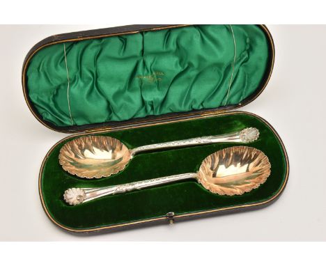 A CASED SET OF TWO SILVER EDWARDIAN FRUIT SPOONS, each with a frilled edge, gilt bowl and shell pattern to the handles, hallm
