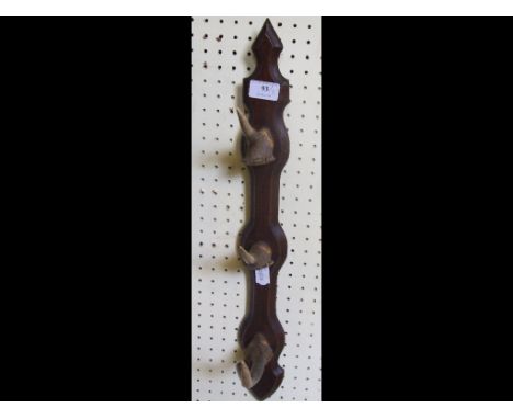 A two piece oak and deer antler whip/stick rack, 55 cm high (2)