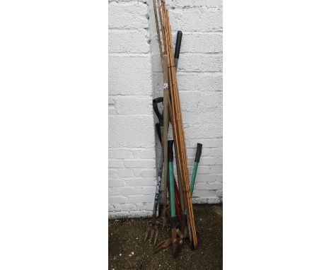 Quantity of Garden Tools and Bamboo Canes 