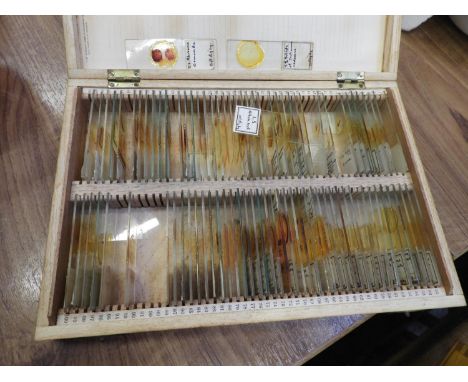 Quantity of Microscope Slides 