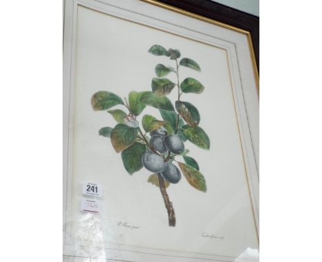 Framed print of plums and an unframed canvas