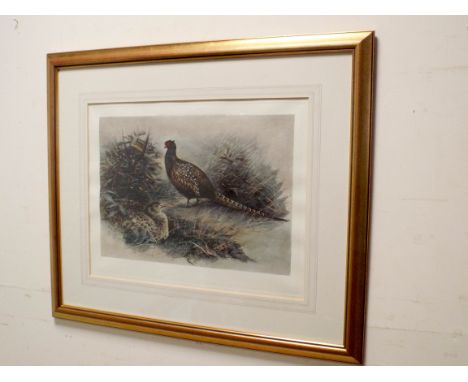 Indistinctly signed print of a cock and hen pheasant, image approximately 38cm X 52cm, glazed and in a simple gilt frame 