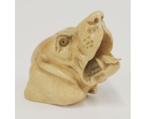 A carved ivory walking stick grip, 19th century, carved as a hound with open mouth, with coloured glass inset eyes,7cm