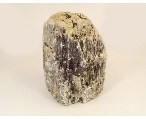 PETRIFIED TREE TRUNK. A large section of petrified tree trunk, with visible tree rings. 36 x 26cm. Note: This section of tree