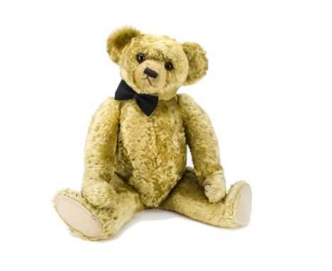 A rare, fine and large Farnell teddy bear 1920s, with bright golden mohair, orange and black glass eyes, pronounced clipped m