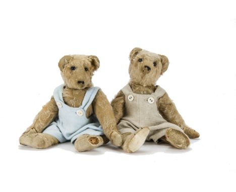 Unusual early American twin teddy bears circa 1908, with golden mohair, black boot button eyes, pronounced muzzle, remains of